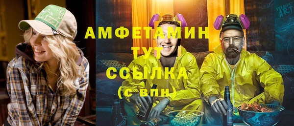 винт Абаза