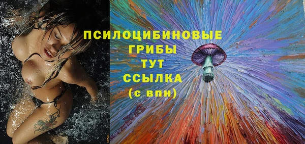 ешки Абинск